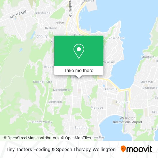 Tiny Tasters Feeding & Speech Therapy map