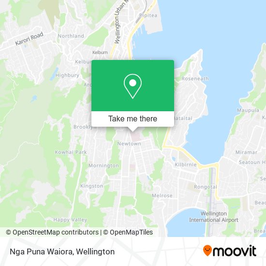 Nga Puna Waiora map