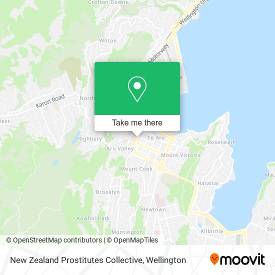 New Zealand Prostitutes Collective map