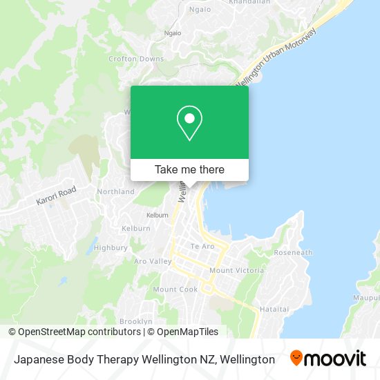 Japanese Body Therapy Wellington NZ地图