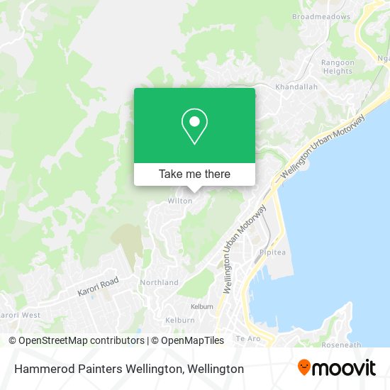 Hammerod Painters Wellington map