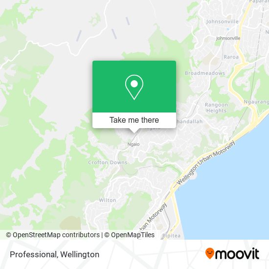 Professional map