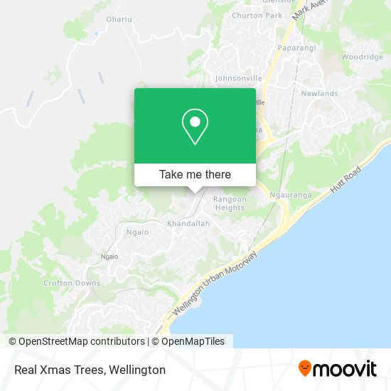 Real Xmas Trees map