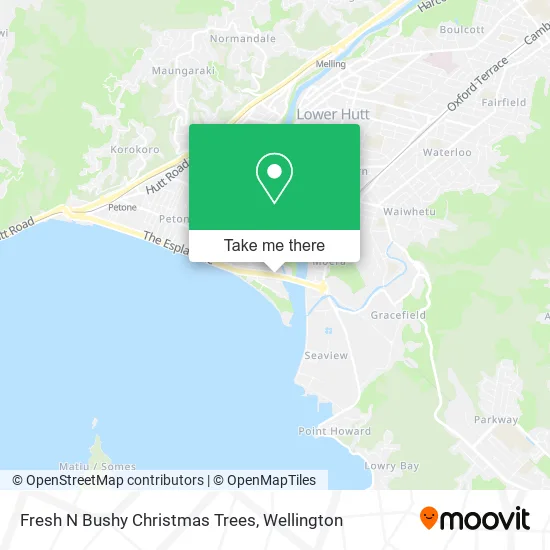 Fresh N Bushy Christmas Trees map