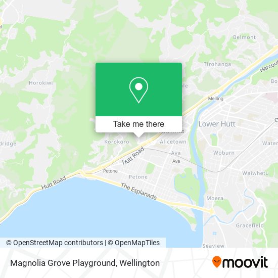 Magnolia Grove Playground map