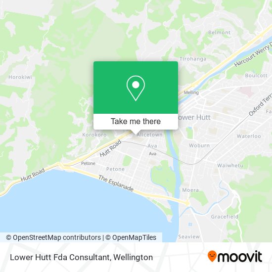 Lower Hutt Fda Consultant map
