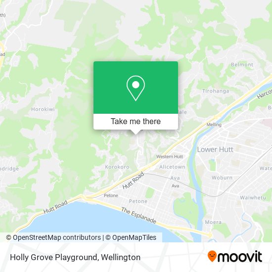 Holly Grove Playground地图