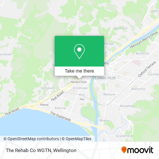 The Rehab Co WGTN map