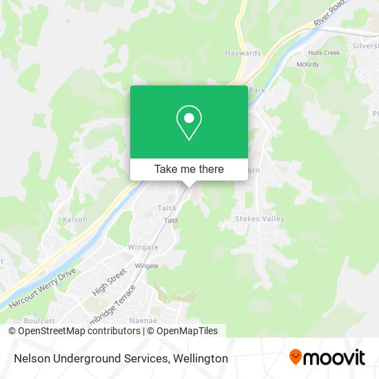 Nelson Underground Services map