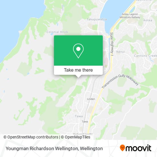 Youngman Richardson Wellington地图