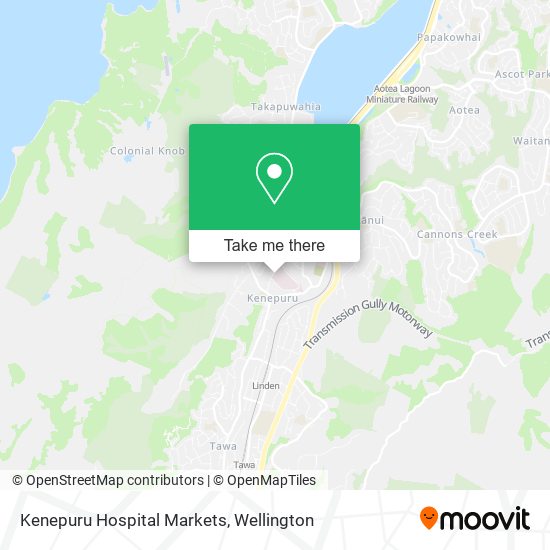 Kenepuru Hospital Markets map