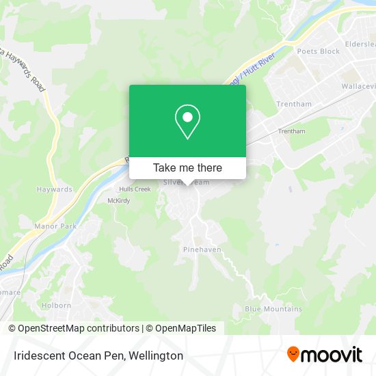 Iridescent Ocean Pen map