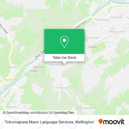 Tokomapuna Maori Language Services map