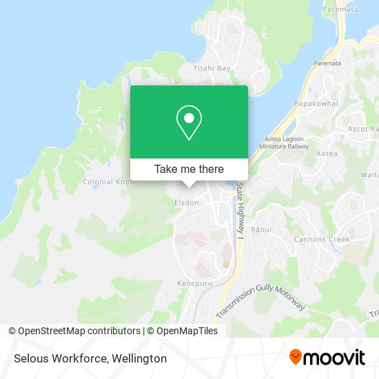 Selous Workforce map