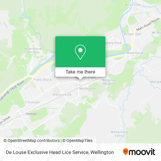 De Louse Exclusive Head Lice Service map