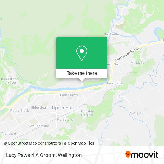 Lucy Paws 4 A Groom map