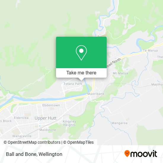 Ball and Bone map