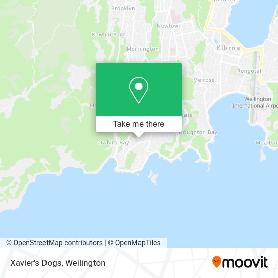 Xavier's Dogs map