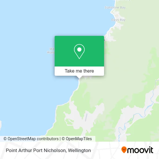 Point Arthur Port Nicholson map