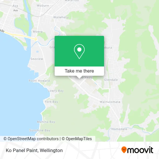 Ko Panel Paint map