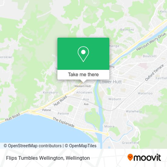 Flips Tumbles Wellington map
