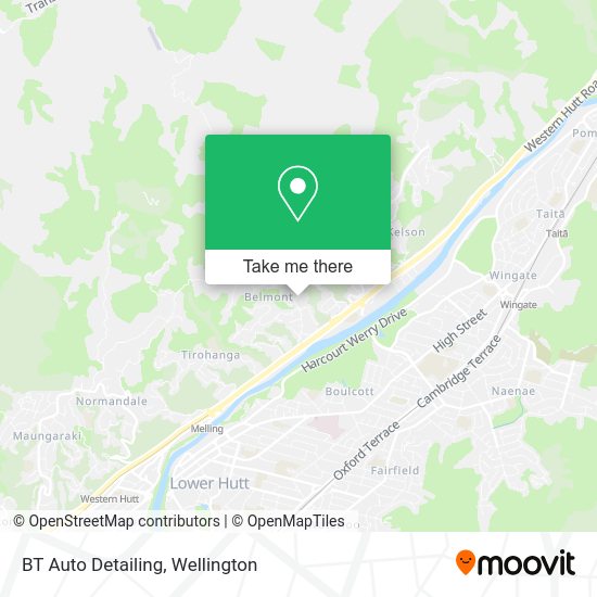 How to get to BT Auto Detailing in Belmont by bus or train?