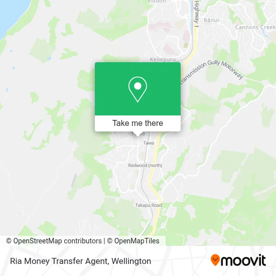 Ria Money Transfer Agent map