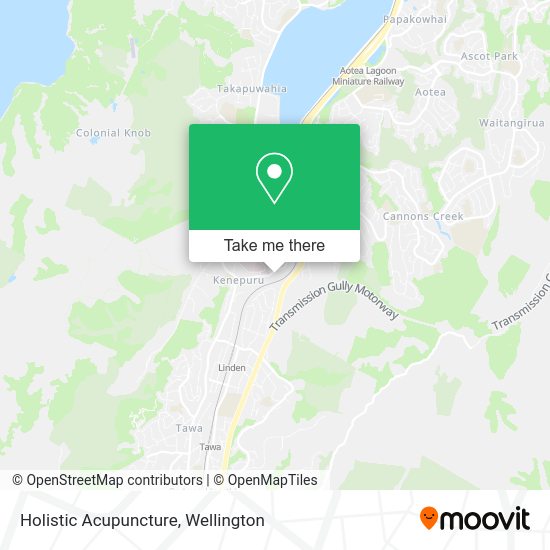 Holistic Acupuncture map