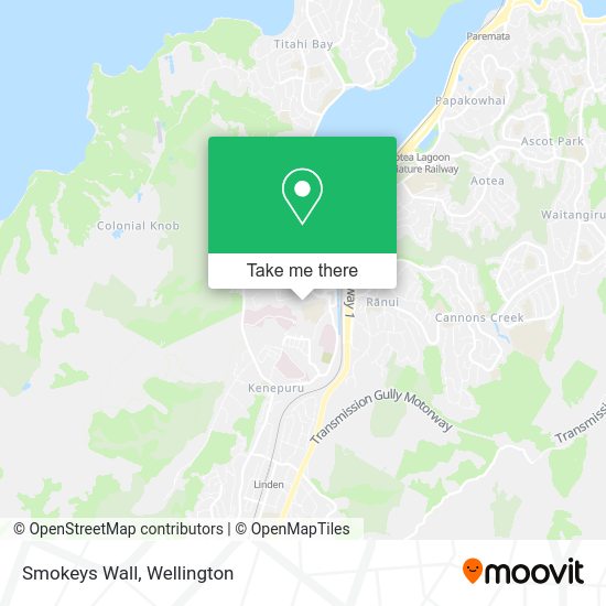 Smokeys Wall map