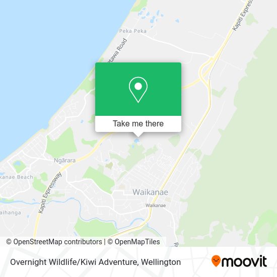 Overnight Wildlife / Kiwi Adventure map