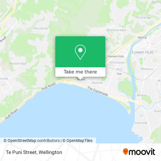 Te Puni Street map