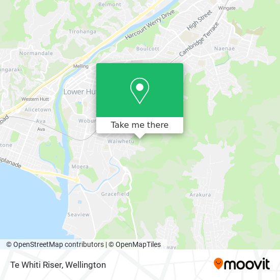 Te Whiti Riser map