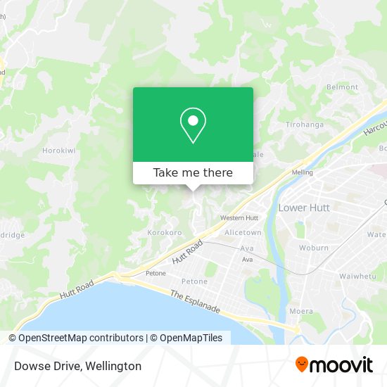 Dowse Drive map