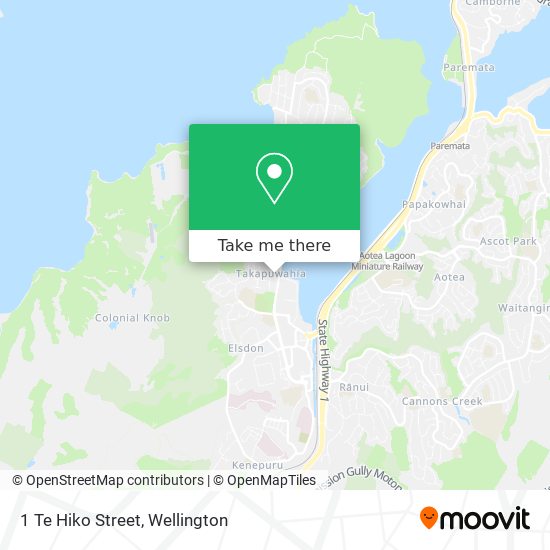 1 Te Hiko Street map