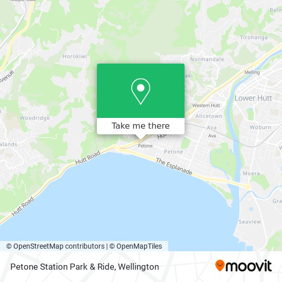Petone Station Park & Ride map