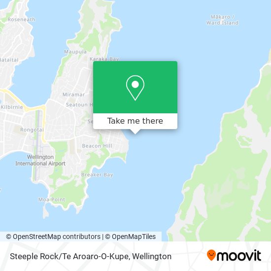 Steeple Rock/Te Aroaro-O-Kupe map
