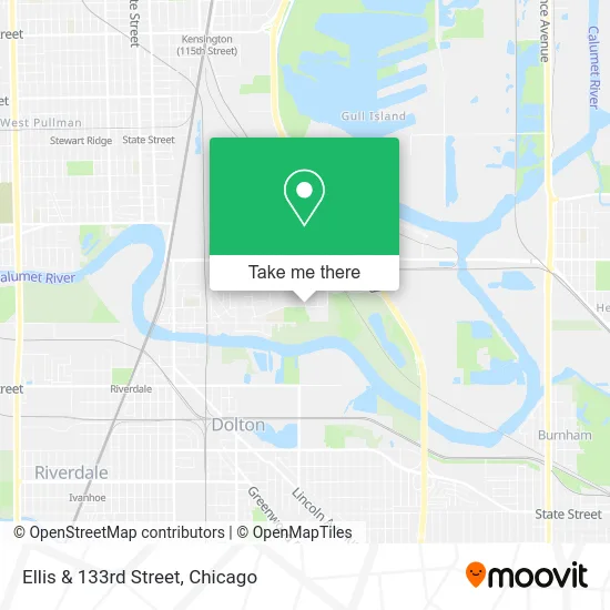 Ellis & 133rd Street map