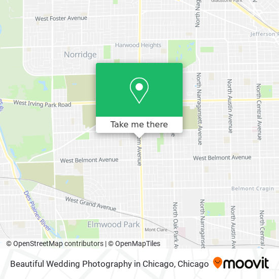 Mapa de Beautiful Wedding Photography in Chicago