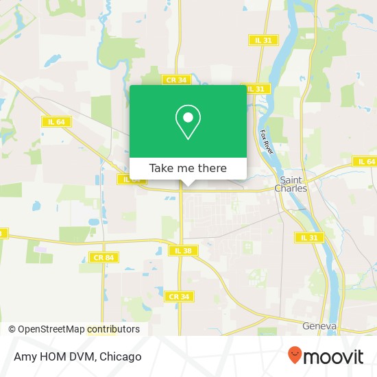 Amy HOM DVM map