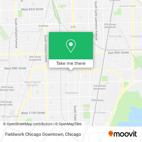 Fieldwork Chicago Downtown map