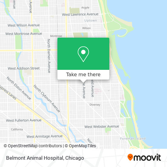 Belmont Animal Hospital map