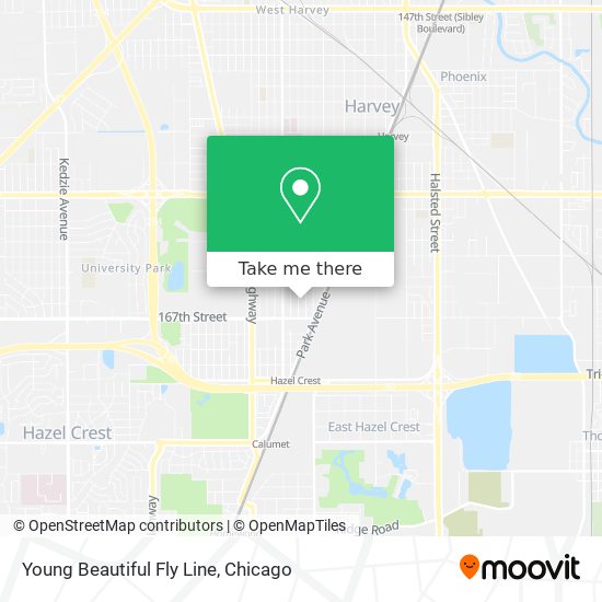 Young Beautiful Fly Line map