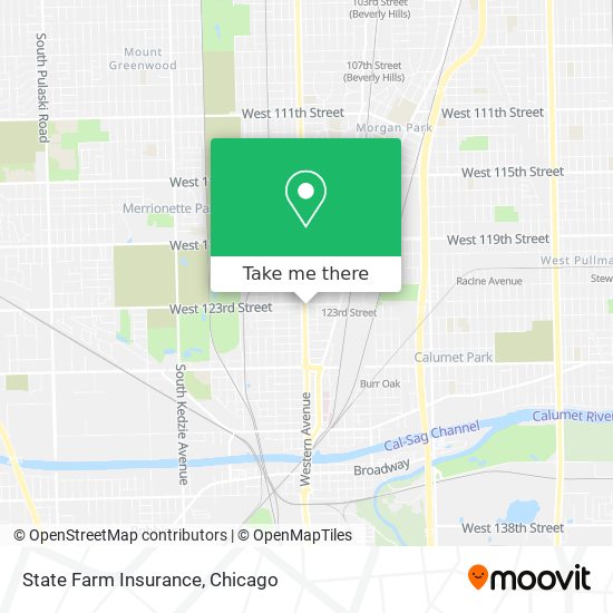 State Farm Insurance map