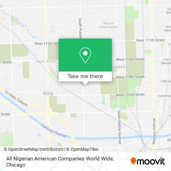 Mapa de All Nigerian American Companies World Wide