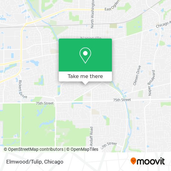Elmwood/Tulip map