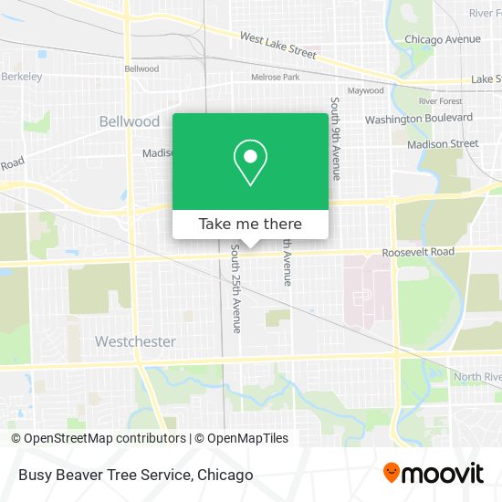 Busy Beaver Tree Service map