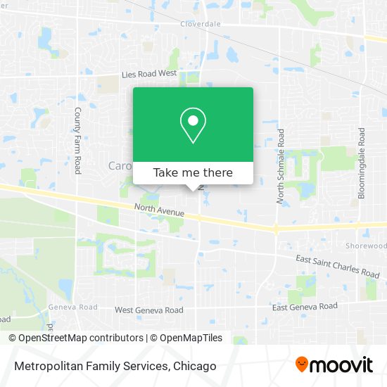 Metropolitan Family Services map