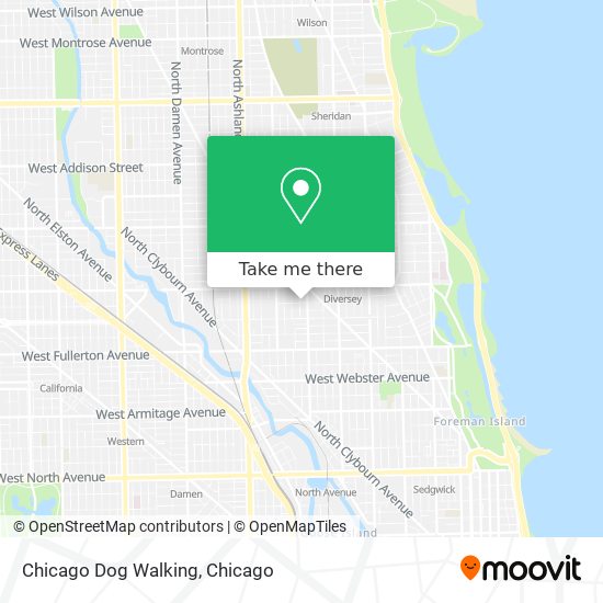 Chicago Dog Walking map