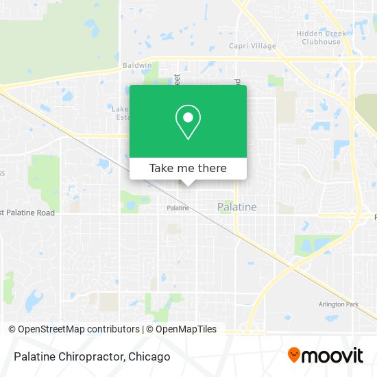 Palatine Chiropractor map