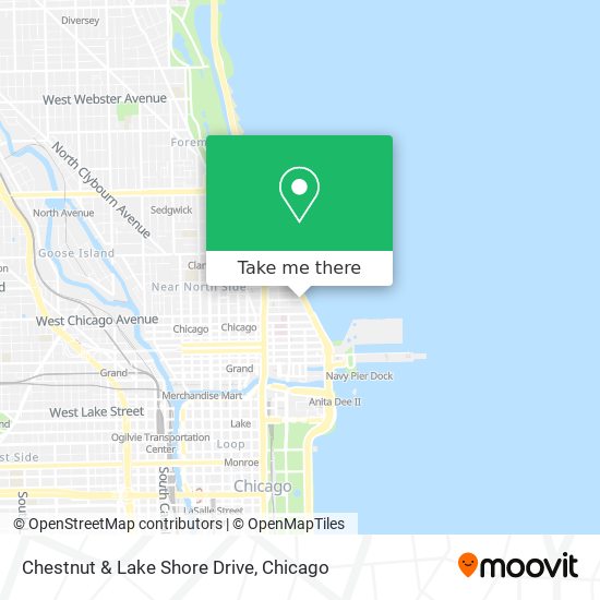 Chestnut & Lake Shore Drive map